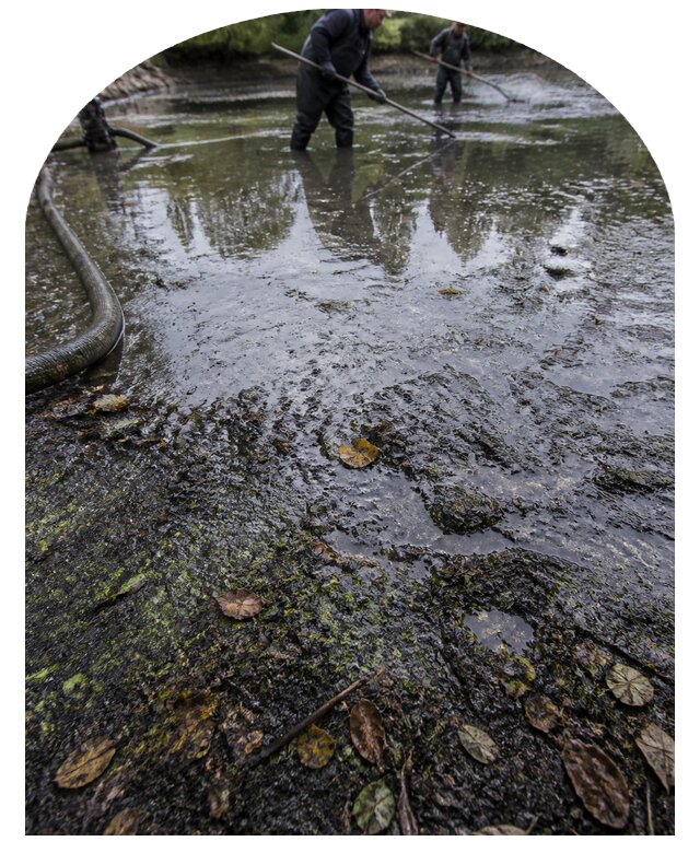 Очистка пруда в Кинешме от ила мусора и водорослей с вывозом